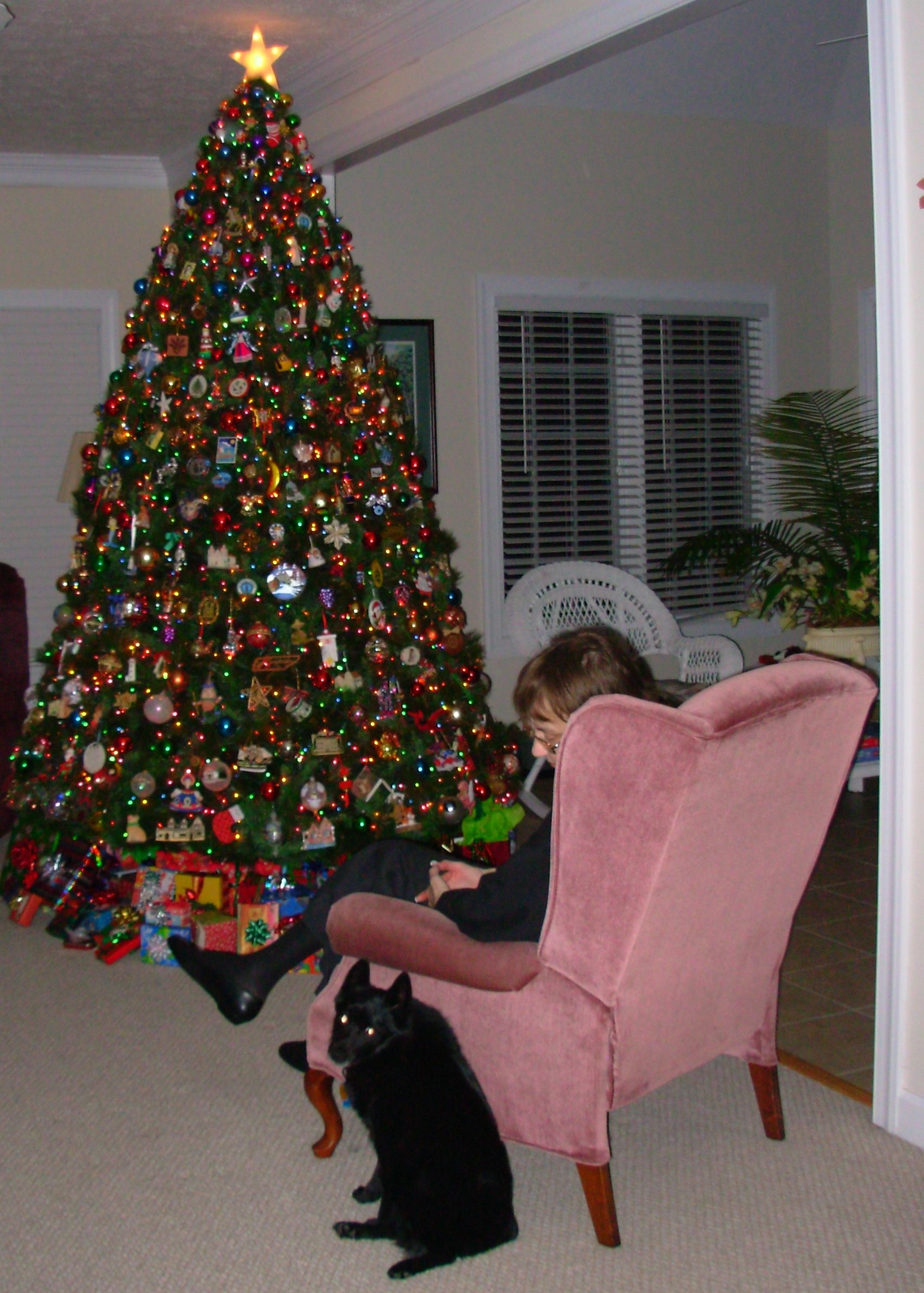 Gloria and Pasha sit by our tree, Christmas Eve 2008