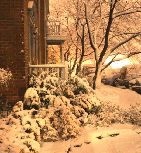 Scene from our porch in Alexandria 2011
