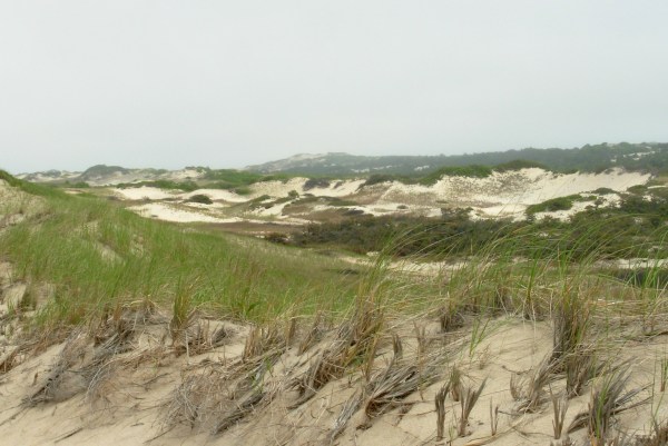 Cape Cod National Seashore near Provincetown, Massachusetts, May 2009