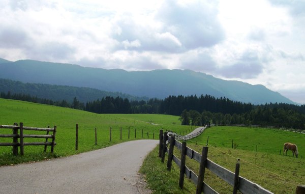 The road to Wieskirche, a place of hope for many pilgrims, near Steingaden, Germany, August 2005