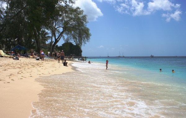 A beach in Barbados, one of my favorite islands, March 2010.