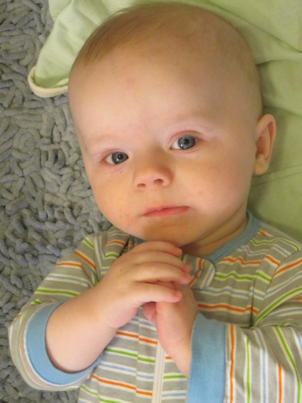 Wonder what he's thinking? January 5, 2014