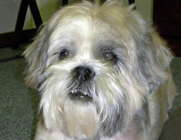 Marlee channels Jack Benny, March 2008