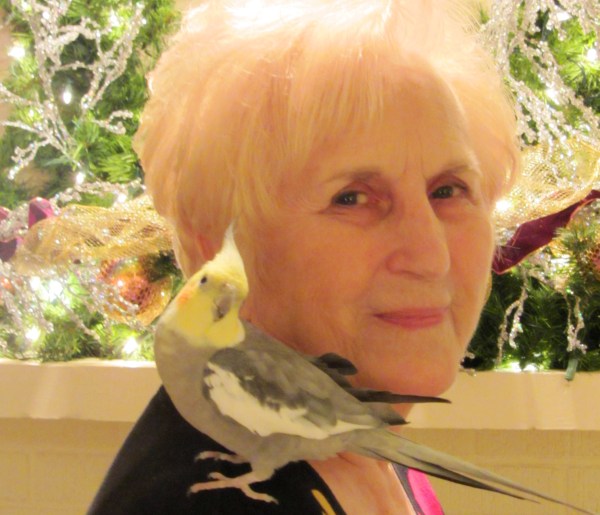 Sweetie with a sweetie: Aunt Peggy with her winsome cockatiel, December 2011