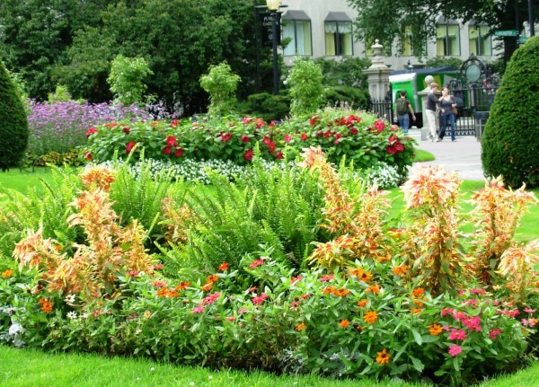 The well-tended flowers of Boston Public Gardens on a lovely September day in 2007