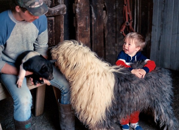 Kindness is a trait we start to learn early. Drew visits the animals on my friend Judy's farm, near Dayton, Ohio, 1987.