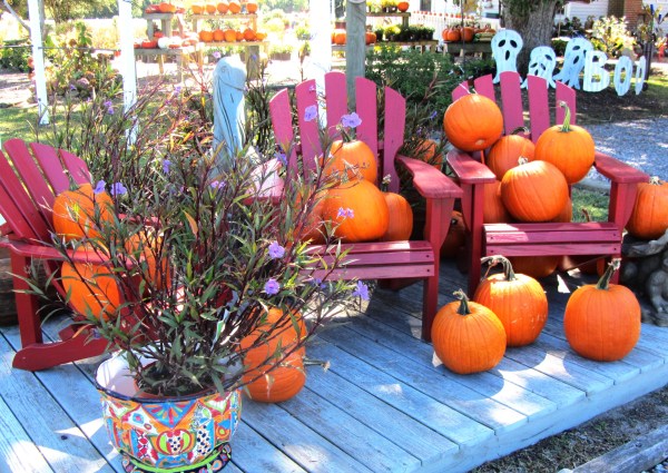 Pumpkins were plentiful at this shop near the Outer Banks, North Carolina, September 2013
