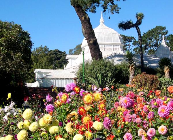 Just another glorious fall day at Golden Gate Park, San Francisco, October 2003