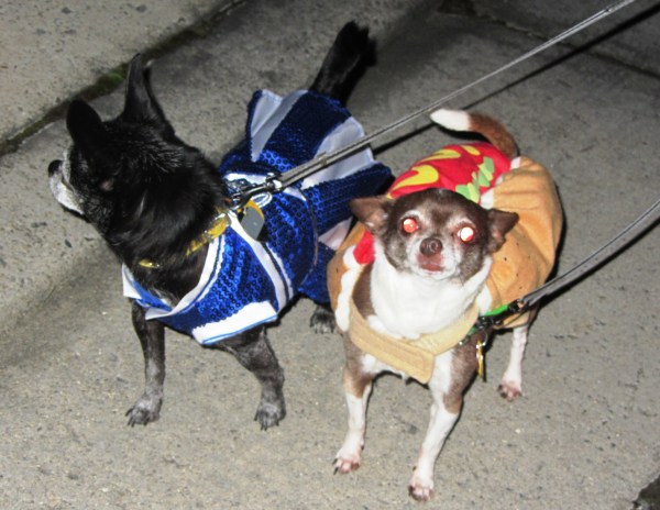 ???????????????????????????????