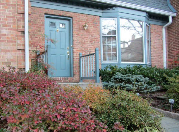 Autumn walk 10 Nov 2013