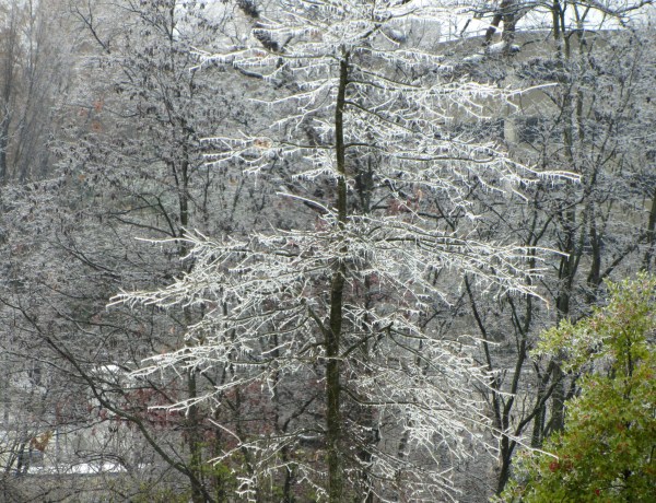 I snapped this photo out the window of Jeff's hospital floor at Walter Reed National Military Medical Center Bethesda. Maryland, December 9, 2013