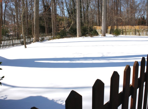 Our York backyard, still and beautiful after a snowfall, January 2010.