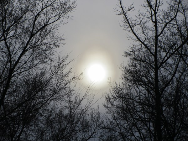 The sun was so striking on this twilight evening in March 2013, I walked back to the house to get my camera.