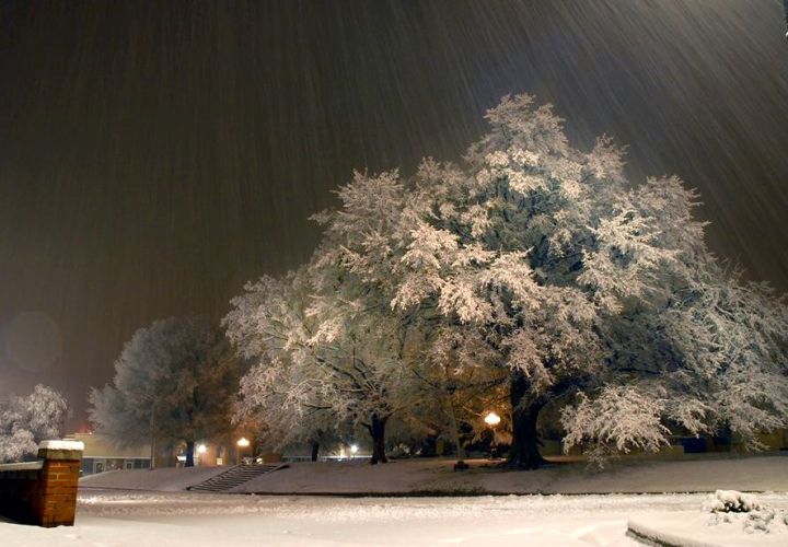 Andy's snow picture 2-13-14