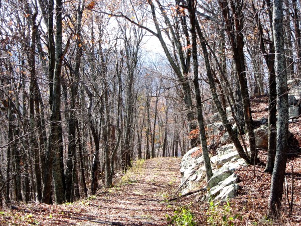 An unknown path need not be fearful. The Blue Ridge Mountains, November 2011