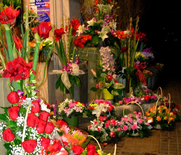 A flower merchant decorates a sidewalk in Barcelona, May 2008.