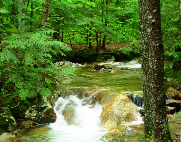 Franconia Notch State Park, a place of refreshing solitude. May 2009