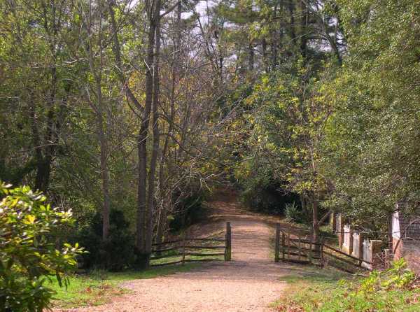 I've never walked this path, so I have no idea where it goes. Colonial Williamsburg, Virginia, photographed November 2004