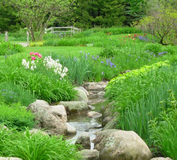 The flowers and grass are lovely, but the rocks add something too. Montreal Botanical Garden, May 2009