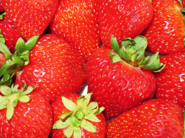 Jeff brought these home the other day, and I just had to photograph them before I ate them. May 2014