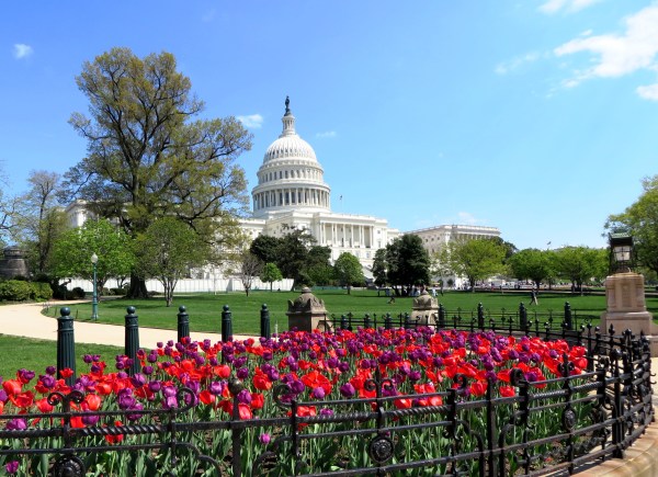 Despite bad press and perpetual complaints, a lot of good stuff happens here. April 2014