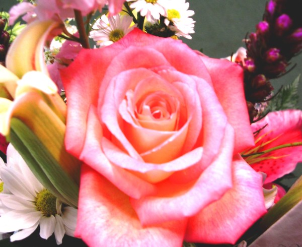 Flowers are beautifully unnecessary, and therefore intriguingly profound. August 2005