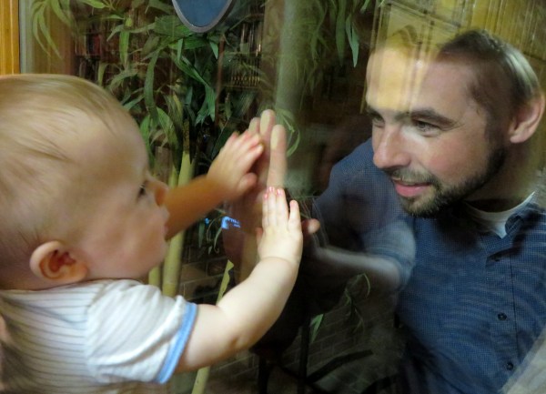 Grady sees his Dad through the glass of his grandparents' window, March 2014.