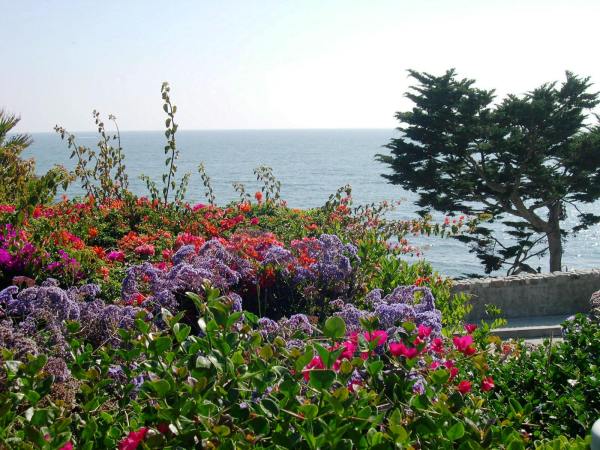 We are surrounded by evidence of unfailing love. Laguna Beach, July 2004