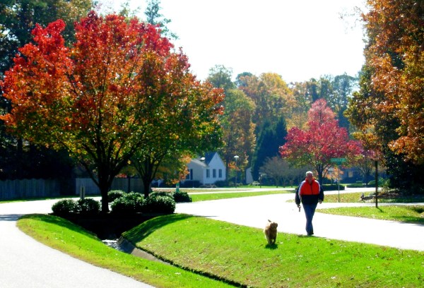 Even for those who aren't in school, fall is full of promise. York County, Virginia, November 2008