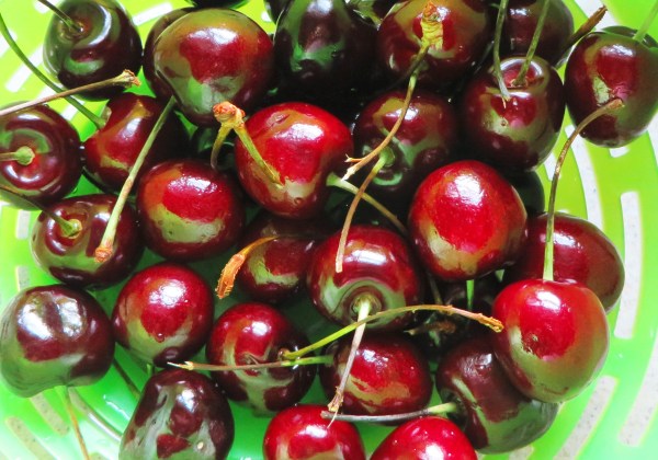 These cherries were so lovely I had to photograph them before I ate them!  July 2014