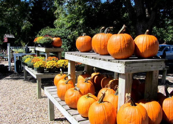 It was hard to ignore his shop on the Outer Banks of North Carolina, September 2013. 