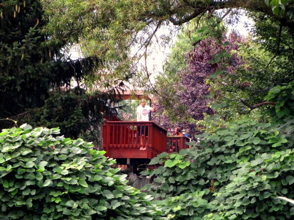 Inexpensive cameras have great telephoto lenses nowadays!  This was taken from the same spot, a few seconds after I took the first one.