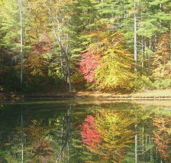 Eric sent me this photo taken near his home in the north Georgia mountains, October 2011.