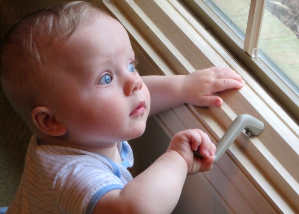 Grady found the view Mama and Daddy's dining room fascinating.  March 2014