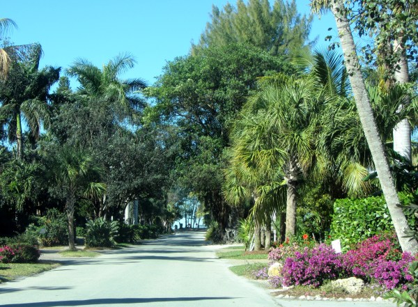 Captiva street