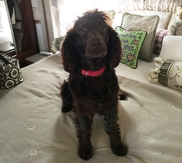 Thanks also to Sheila for sharing a photo of Jack...