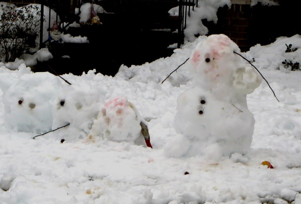 ...and some had "fallen and couldn't get up!!"