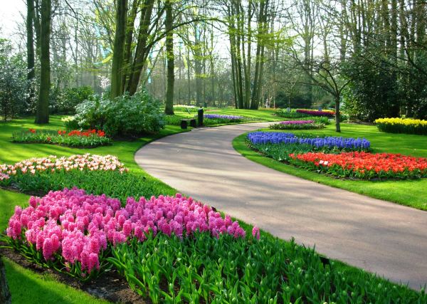 Stroll with me down memory lane at Keukenhof, Netherlands, March 2007.