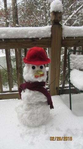Eric & Sherry created this low-carb snow person...