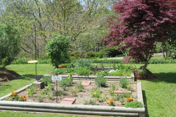 Yorktown garden stroll 4 April 2015