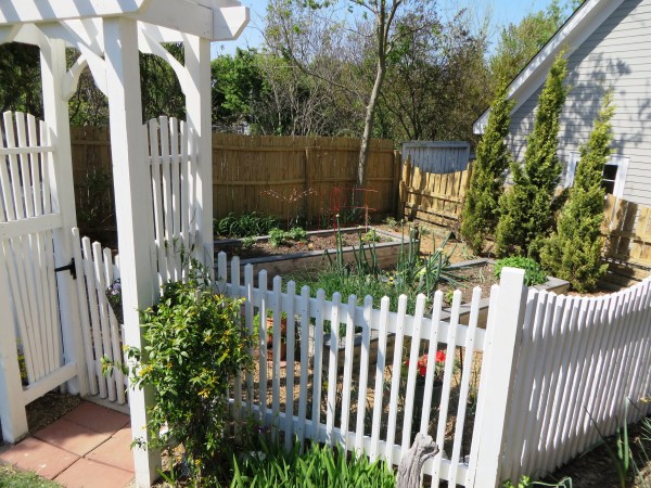 Yorktown Garden Stroll, Darla's herb garden, April 2015