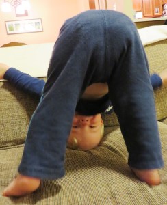 Grady strikes a favorite playtime pose.