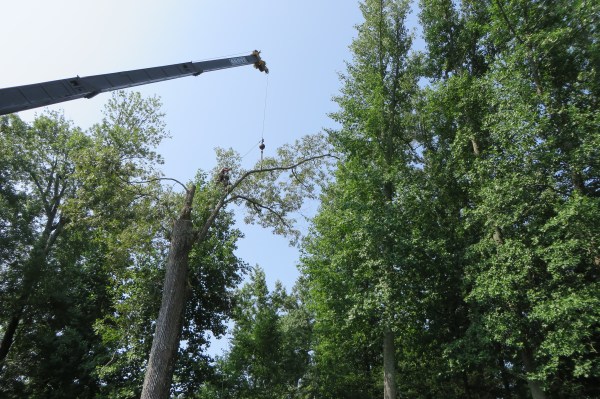 This was after the scariest part was over! York County, July 2015