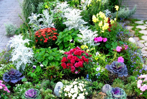 If you focus on the flowers, you'll scarcely notice the weeds. Bar Harbor, Maine, September 2007