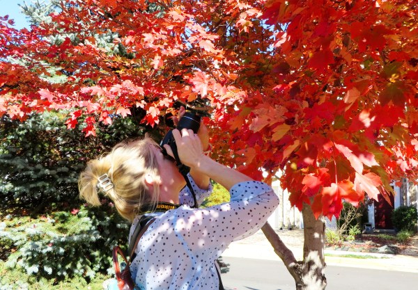 A brilliant addition to my pictures of people taking pictures! Susan photographs a tree on our walk to lunch, November 2015.