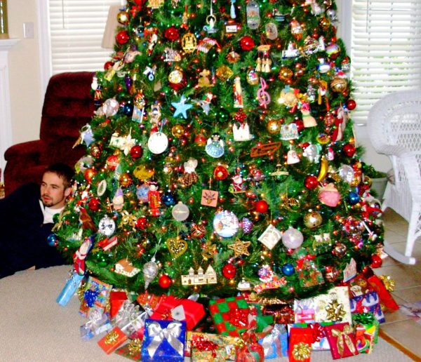 It doesn't show the whole tree, but you get the idea. Yorktown, Virginia, 2010