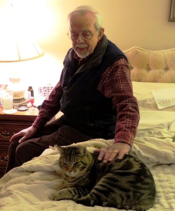 Mr. Kitty liked to lie down with Daddy and Mama for an afternoon nap. February 2015