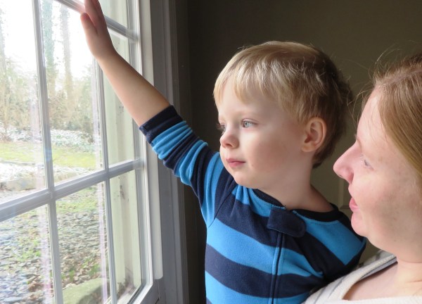 Grady studies the first Georgia snow he can remember.