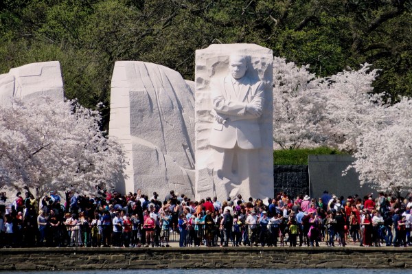Crowds admire the King Monument during the Cherry Blossom Festival, April, 2015.
