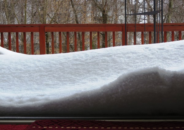 I got a big laugh when I opened our back door to put something in the recycling bin.